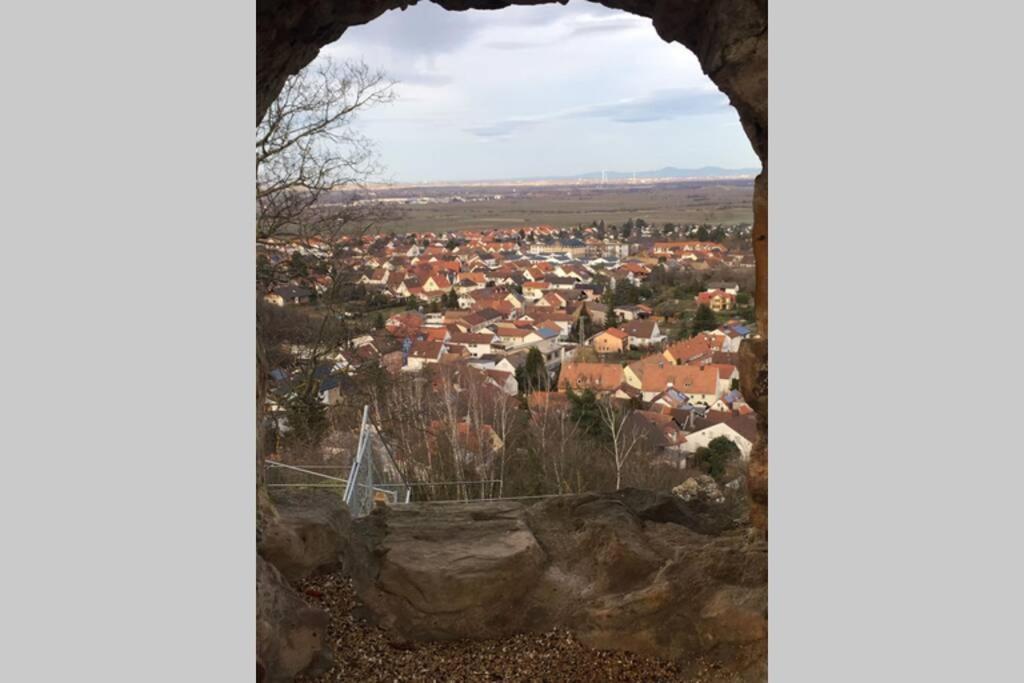 Wunderschoene Wohnung Mit Blick Auf Die Weinberge Neustadt an der Weinstraße Zewnętrze zdjęcie