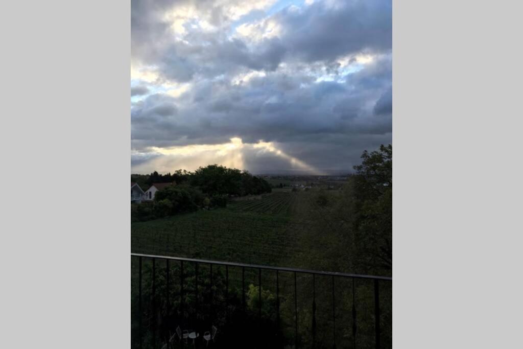Wunderschoene Wohnung Mit Blick Auf Die Weinberge Neustadt an der Weinstraße Zewnętrze zdjęcie