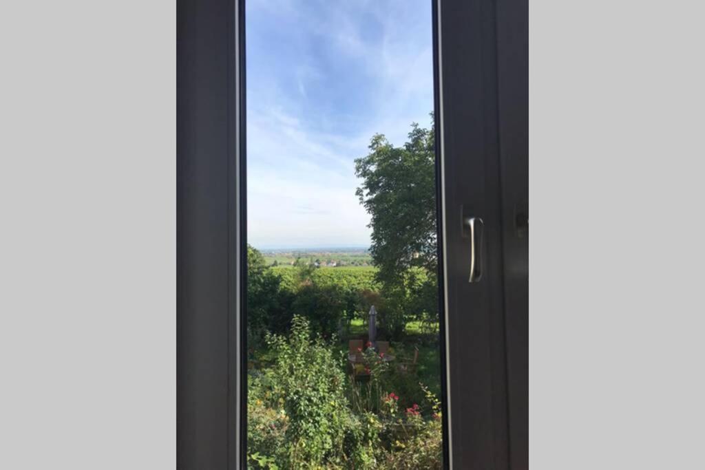 Wunderschoene Wohnung Mit Blick Auf Die Weinberge Neustadt an der Weinstraße Zewnętrze zdjęcie